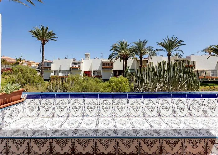 Frontera Primavera 535