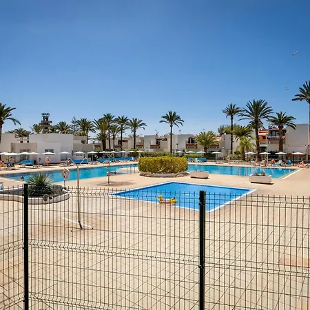 Frontera Primavera 535