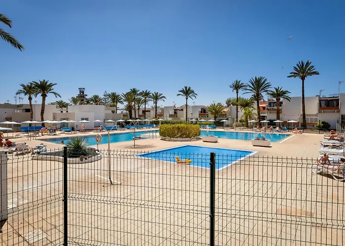 Frontera Primavera 535