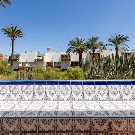 Frontera Primavera 535